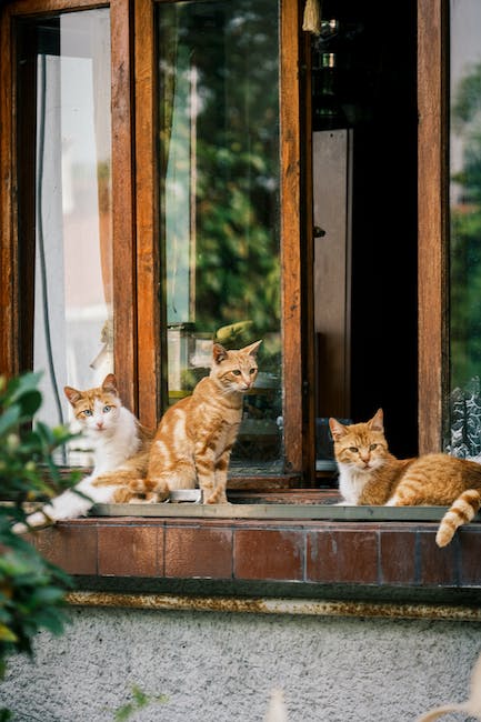 sitting window